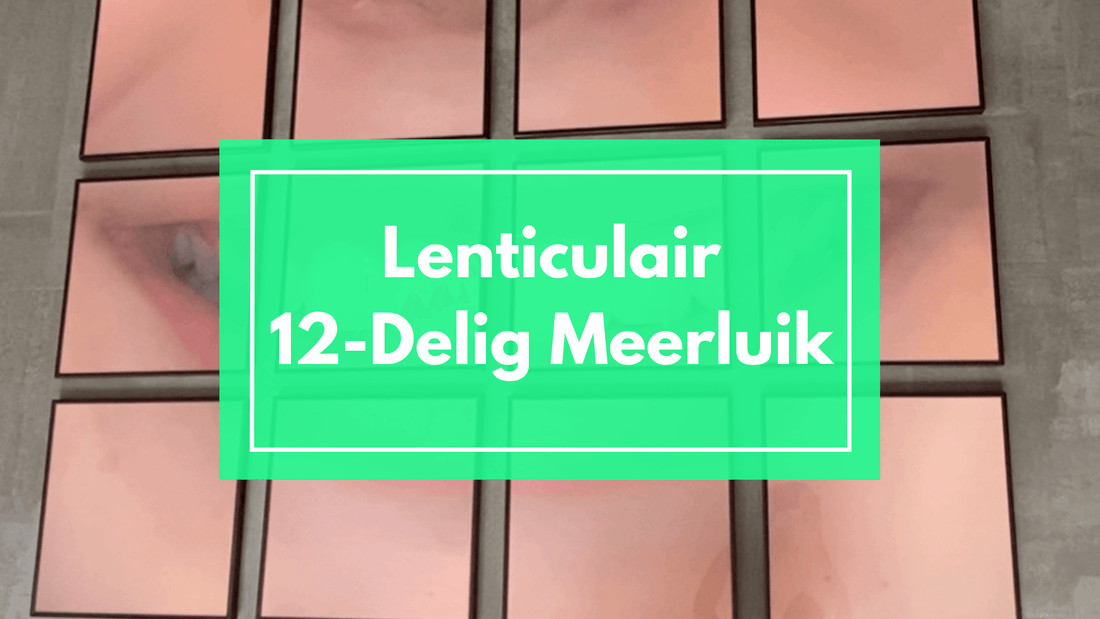 12-Delig Lenticulair Meerluik: Van Idee tot Product